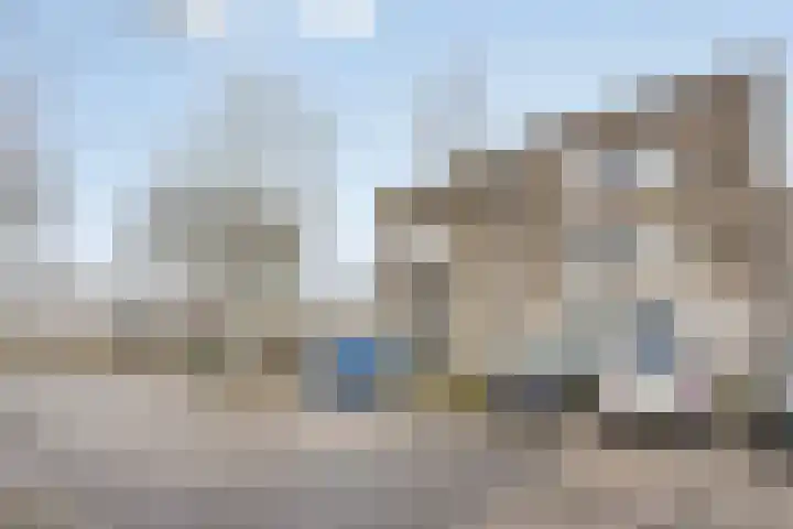 Malvabeemd 34 C Maastricht thumbnail 39