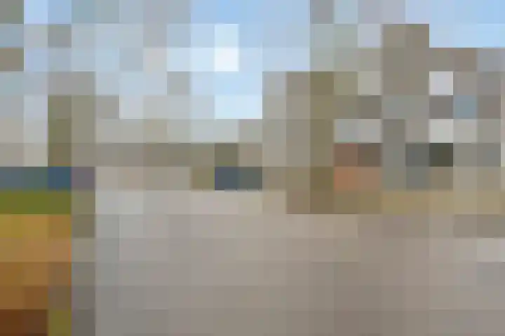 Malvabeemd 34 C Maastricht thumbnail 40
