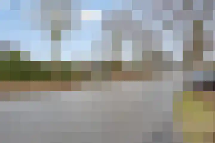Malvabeemd 34 C Maastricht thumbnail 42