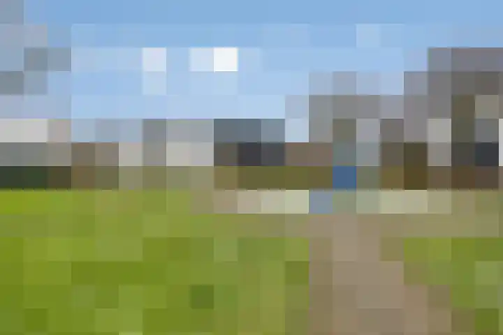 Malvabeemd 34 C Maastricht thumbnail 43