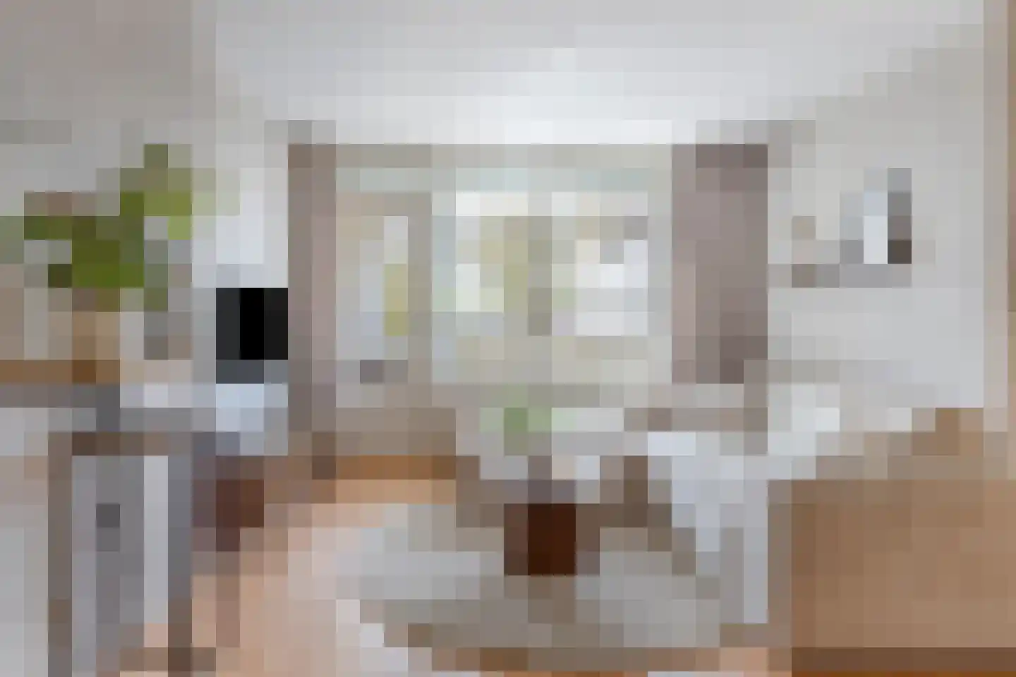 Malvabeemd 34 C Maastricht thumbnail 7