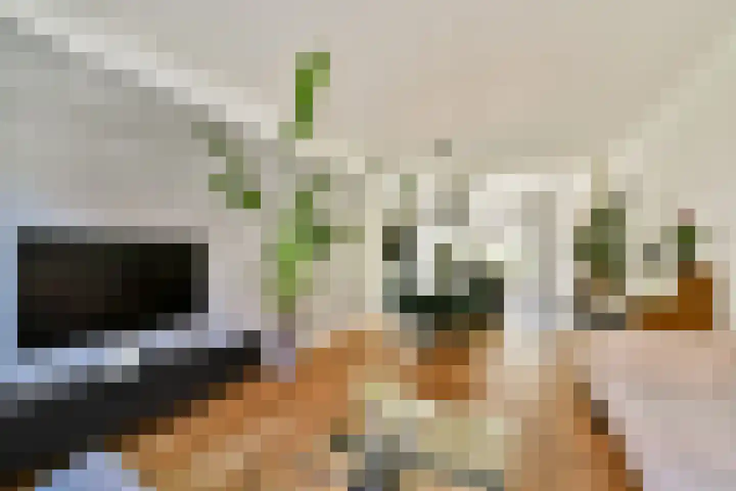 Malvastraat 12 B Rotterdam thumbnail 10