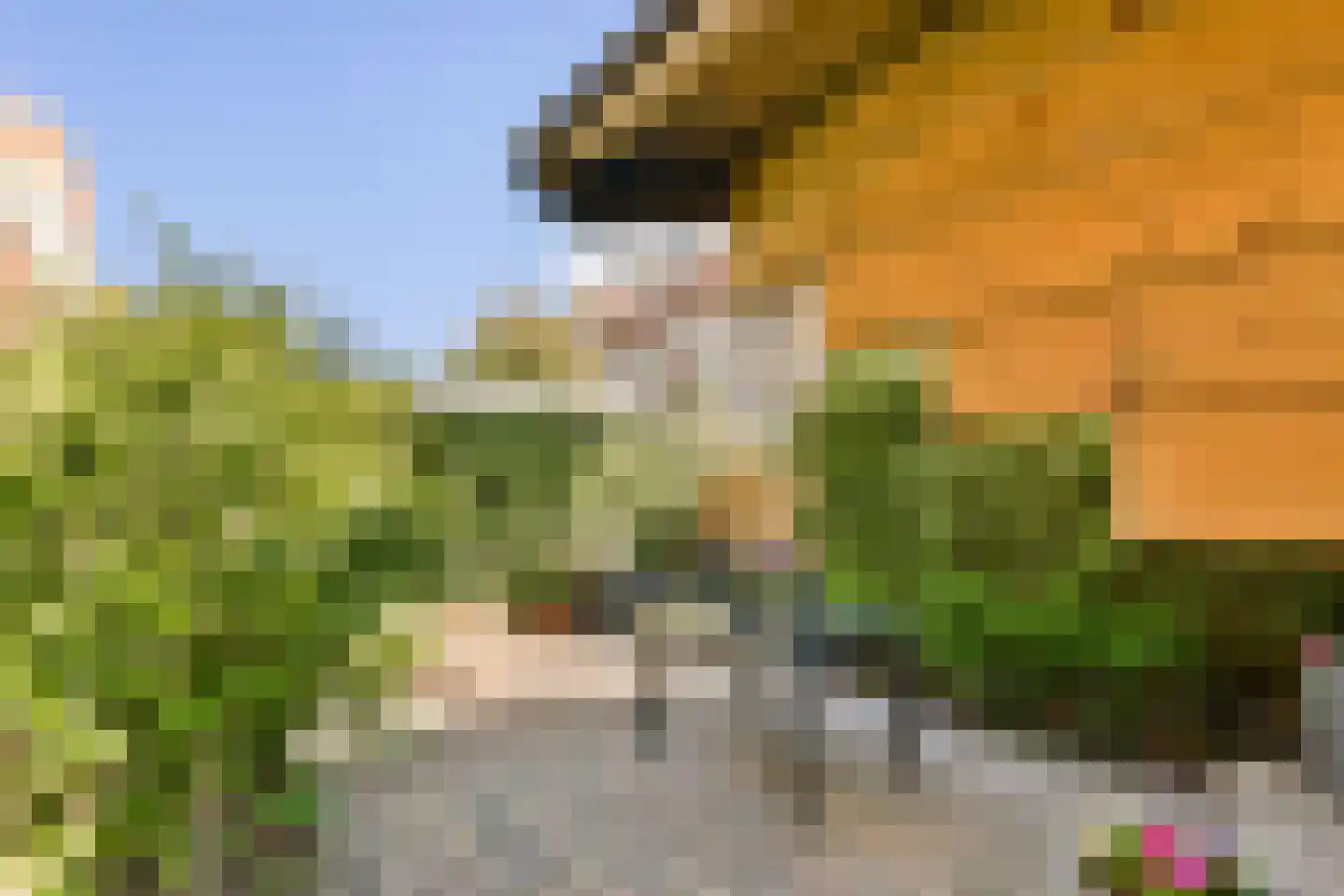 Malvastraat 12 B Rotterdam thumbnail 16