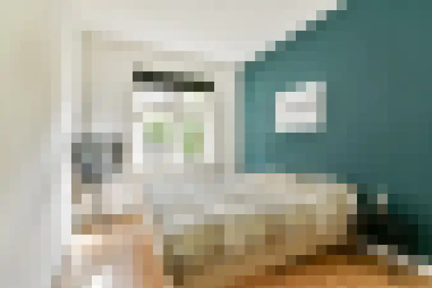 Malvastraat 12 B Rotterdam thumbnail 17