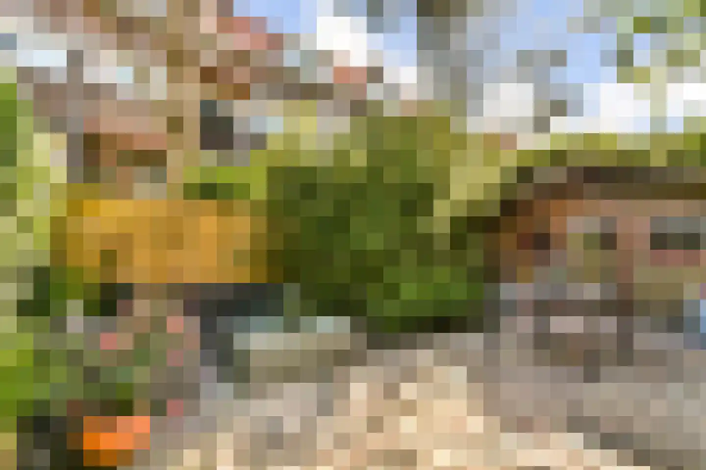 Malvastraat 12 B Rotterdam thumbnail 4