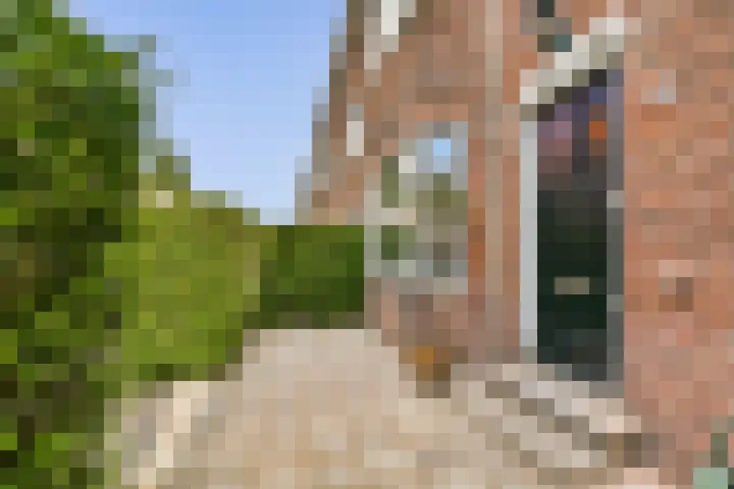 Malvastraat 12 B Rotterdam thumbnail 6