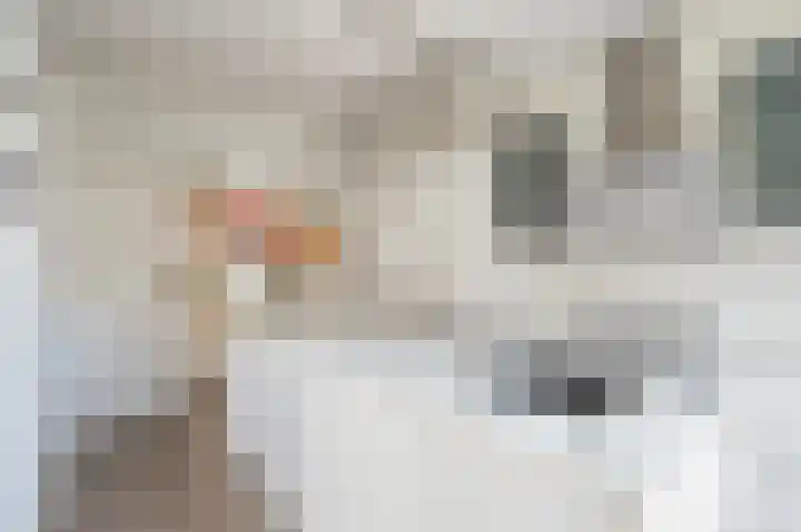 Malvastraat 13 A Rotterdam thumbnail 12