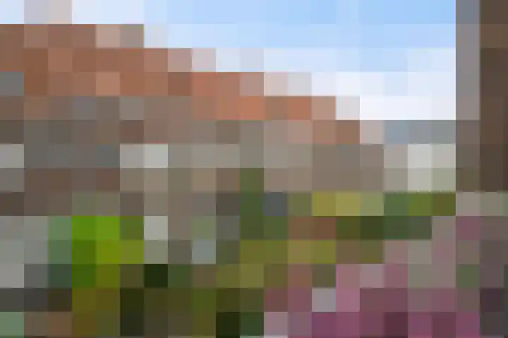 Malvastraat 13 A Rotterdam thumbnail 15