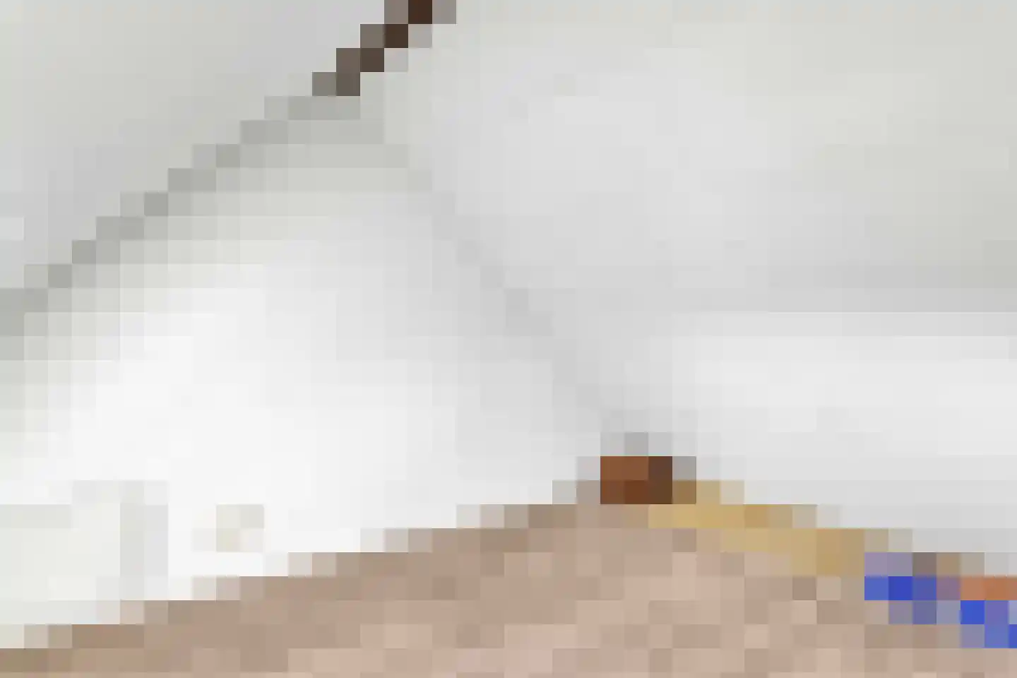 Malvastraat 16 B Rotterdam thumbnail 35