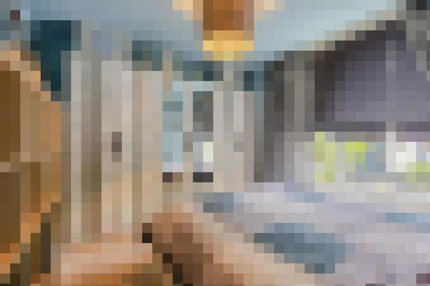 Malvastraat 23 1 Amsterdam thumbnail 11