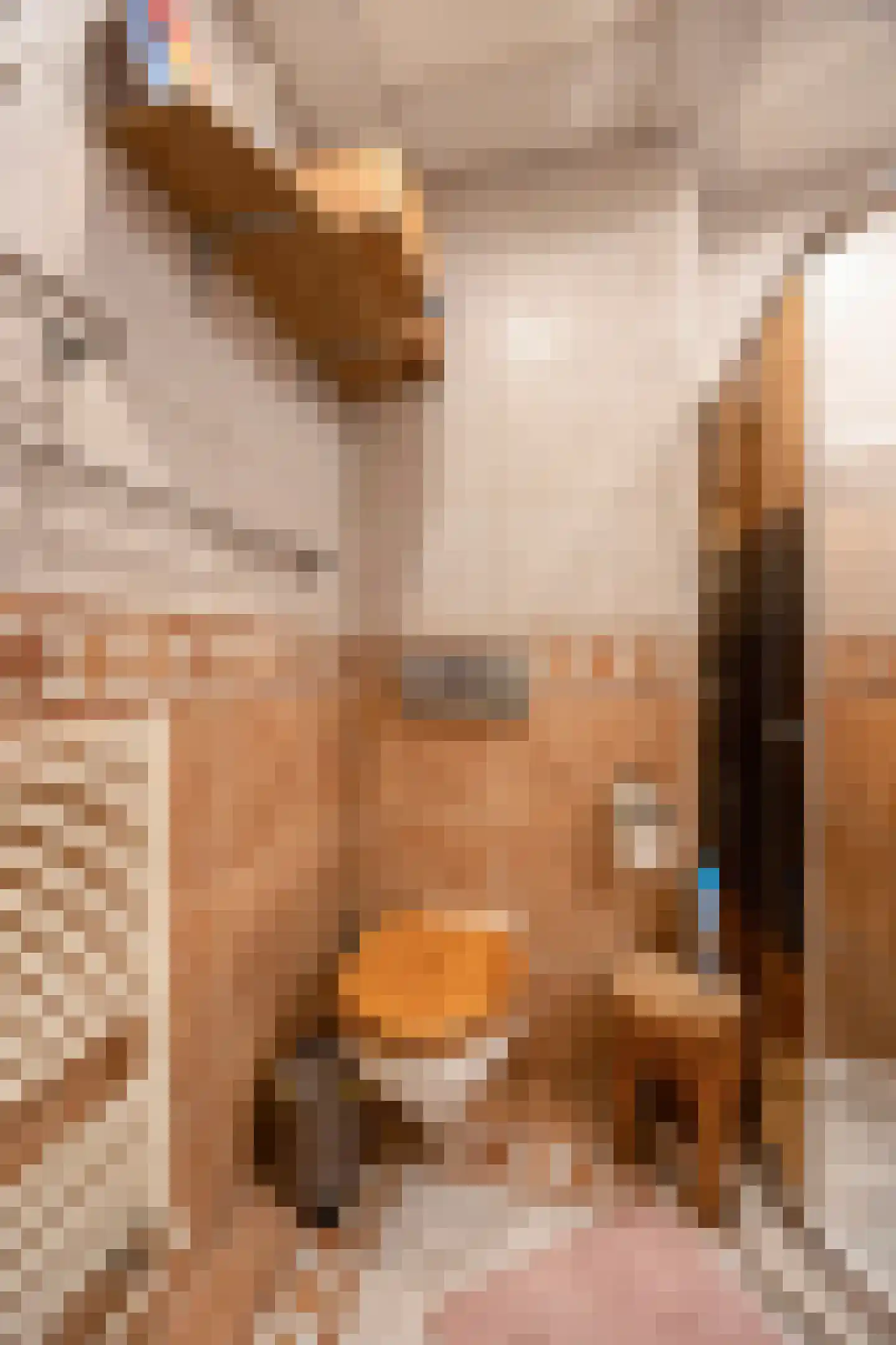 Malvastraat 23 1 Amsterdam thumbnail 14