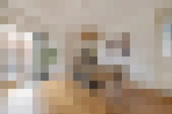 Malvastraat 29 Amsterdam thumbnail 10