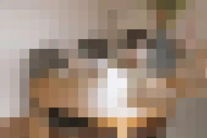 Malvastraat 29 Amsterdam thumbnail 13