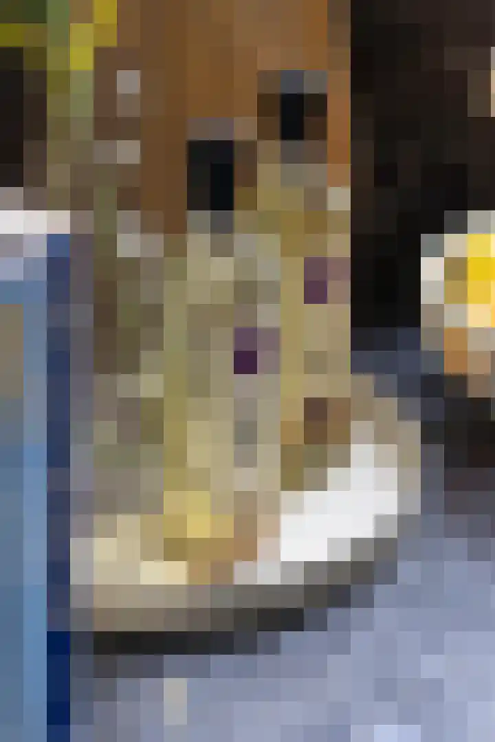 Malvastraat 29 Amsterdam thumbnail 15