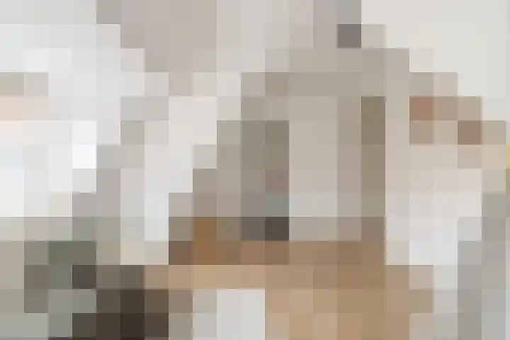 Malvastraat 29 Amsterdam thumbnail 23