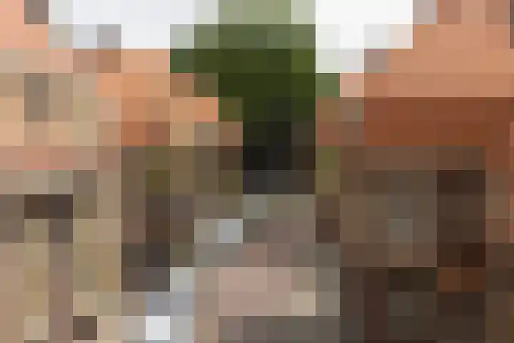 Malvastraat 29 Amsterdam thumbnail 29