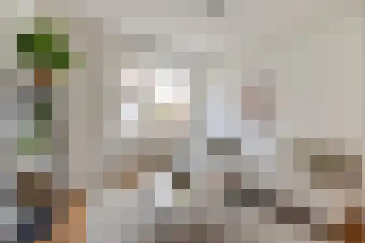 Malvastraat 29 Amsterdam thumbnail 6