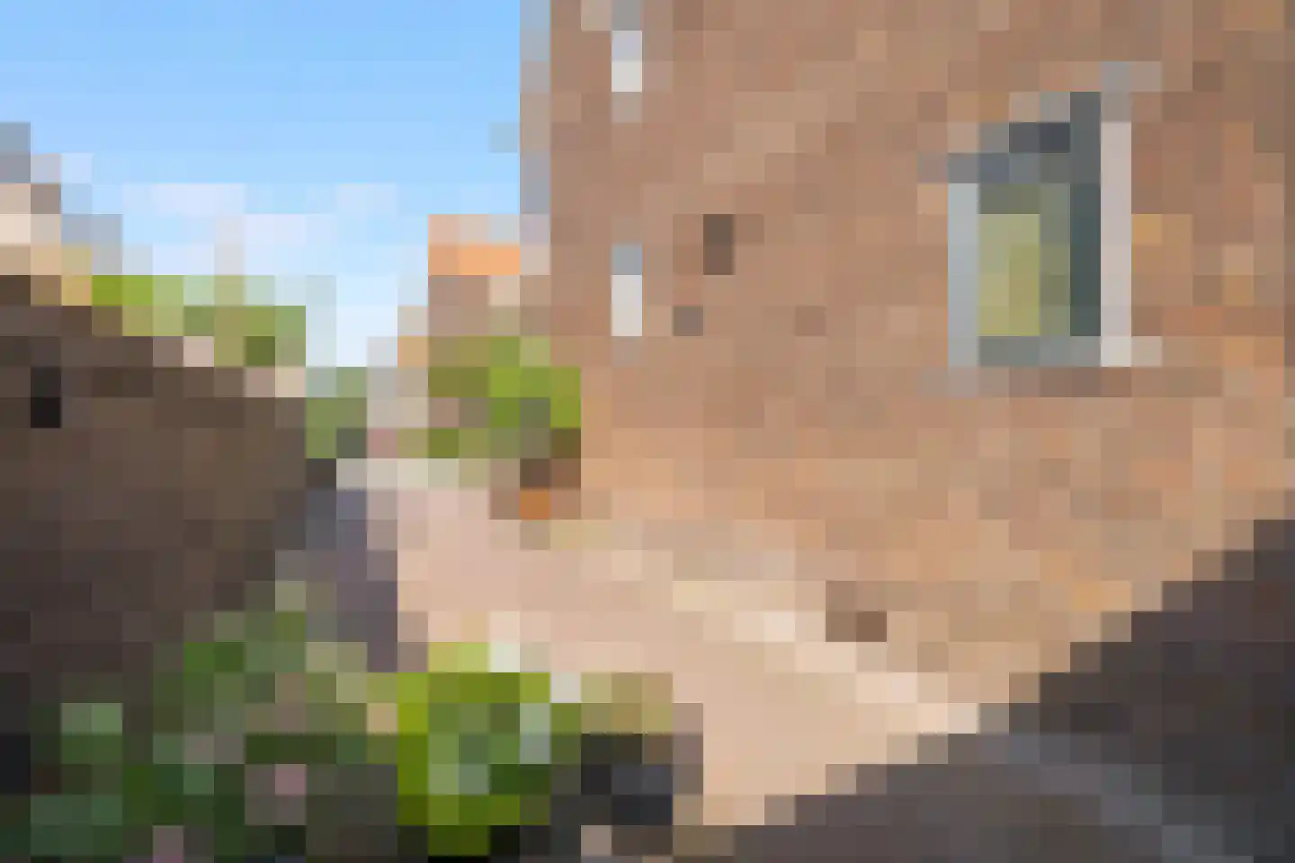 Malvastraat 5 B Rotterdam thumbnail 29