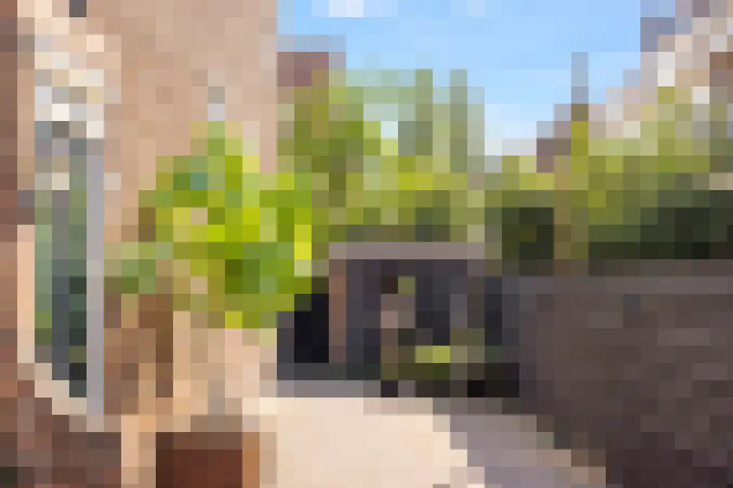 Malvastraat 5 B Rotterdam thumbnail 31
