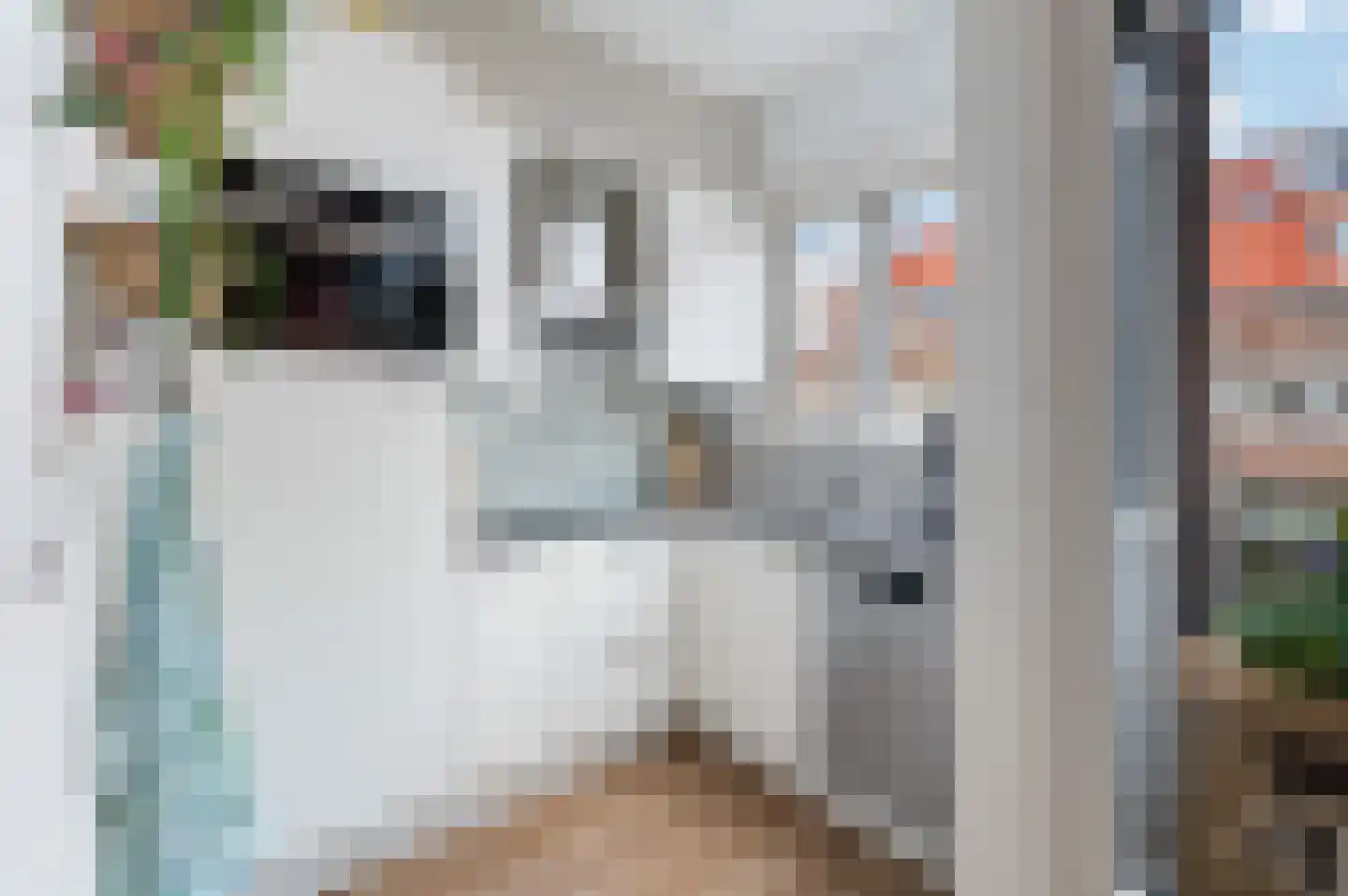 Malvastraat 8 A Rotterdam thumbnail 16