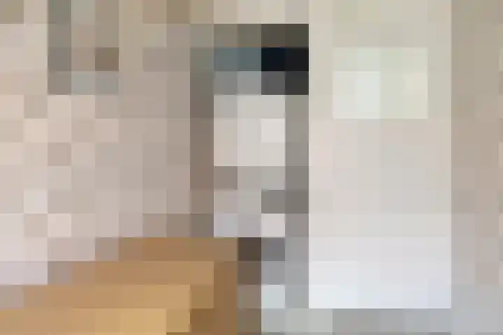 Malvastraat 9 B Rotterdam thumbnail 20