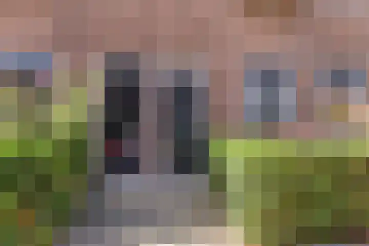 Malvastraat 9 B Rotterdam thumbnail 23
