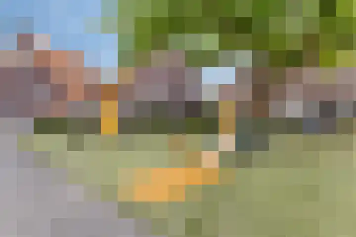 Malvastraat 9 B Rotterdam thumbnail 25