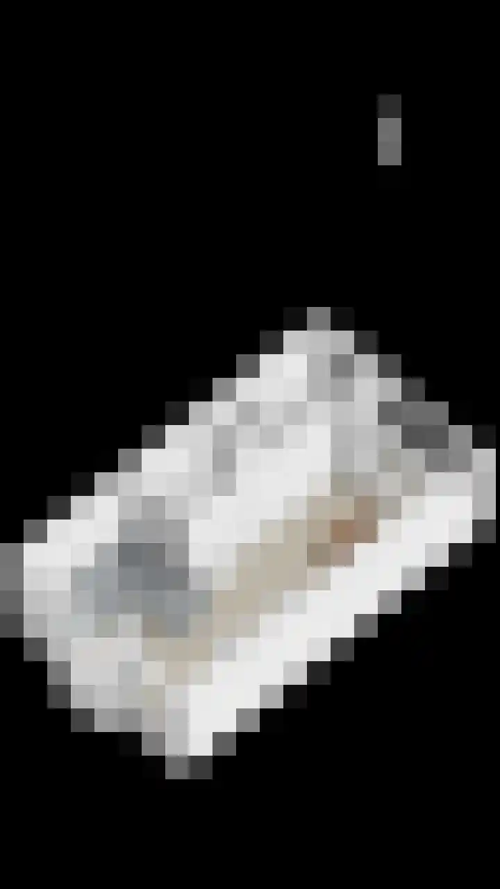 Malvastraat 9 B Rotterdam thumbnail 31