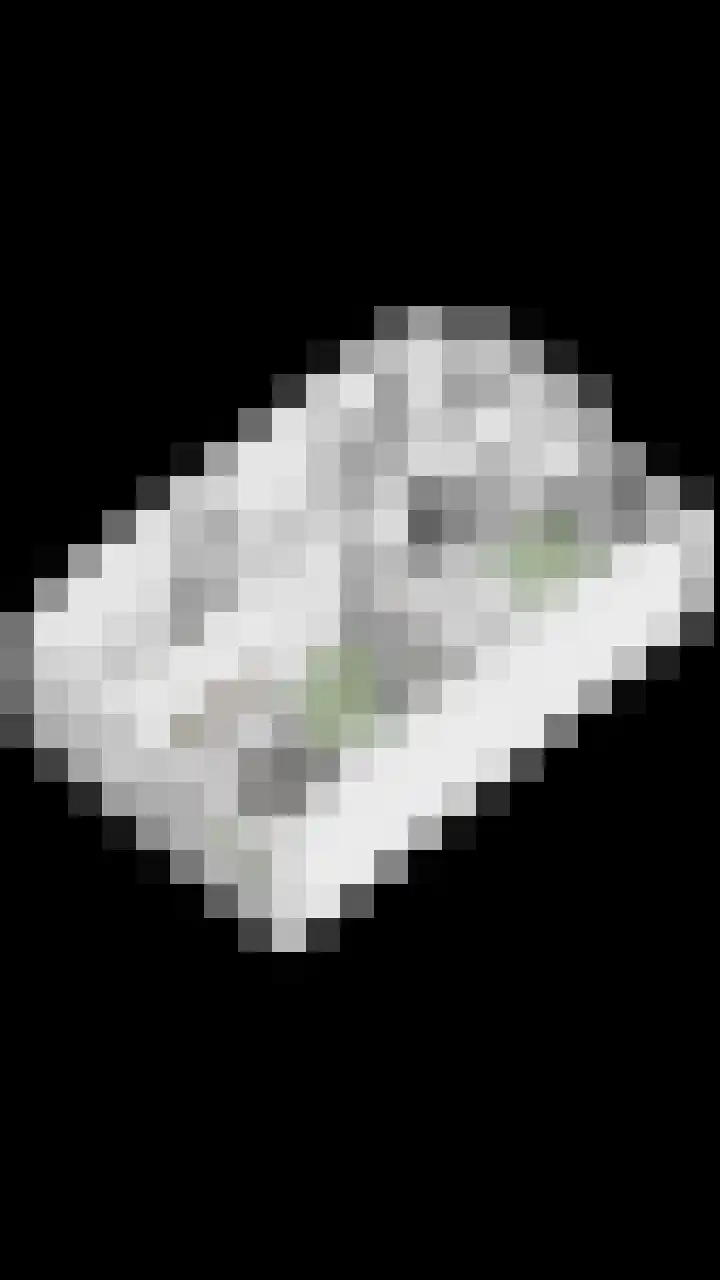 Malvastraat 9 B Rotterdam thumbnail 32