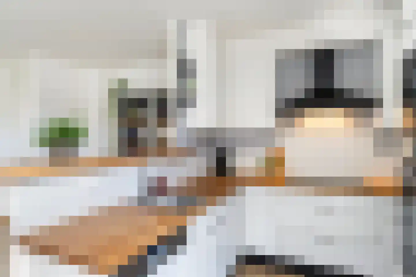 Malvaweg 4 Zwolle thumbnail 10