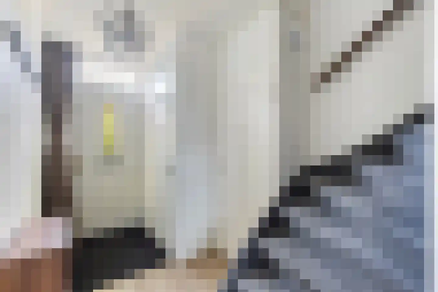 Malvaweg 4 Zwolle thumbnail 16