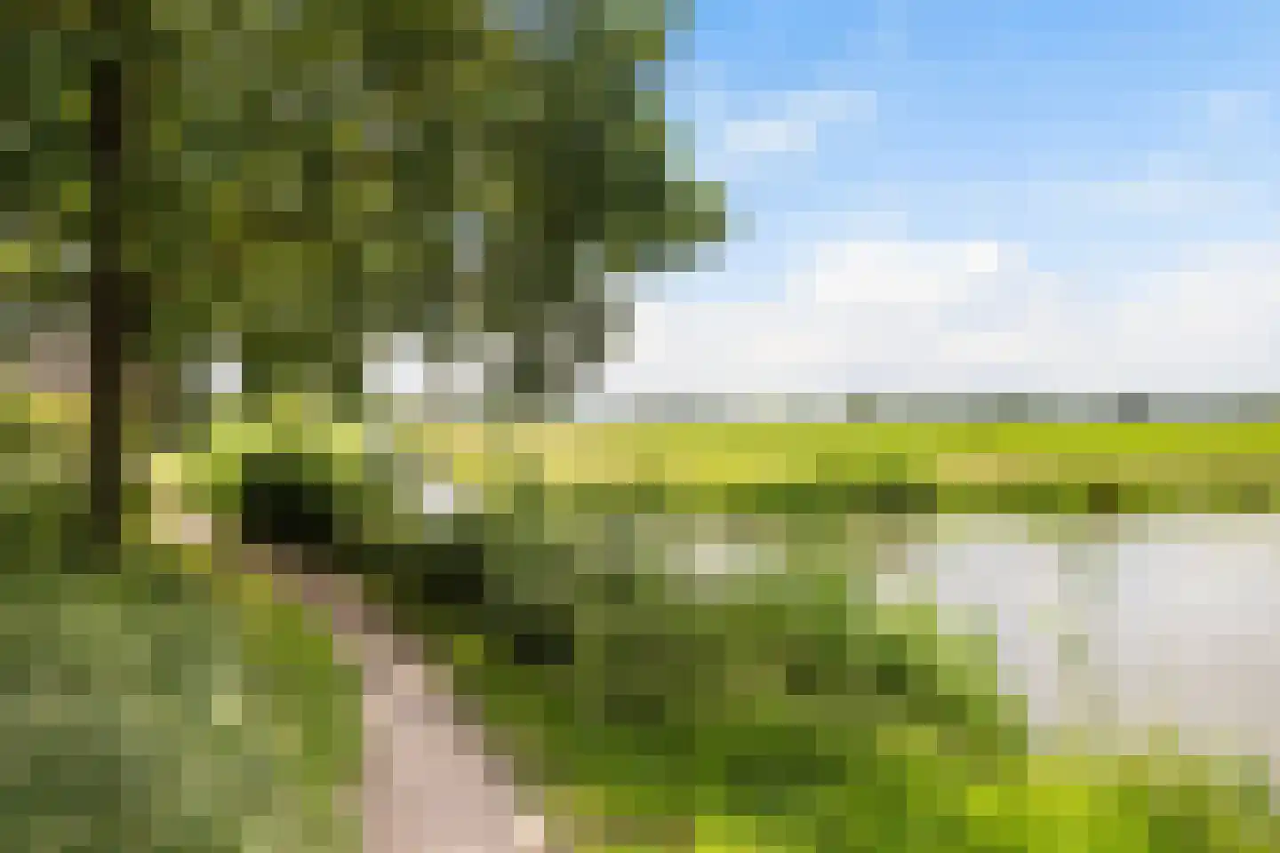 Malvaweg 4 Zwolle thumbnail 30