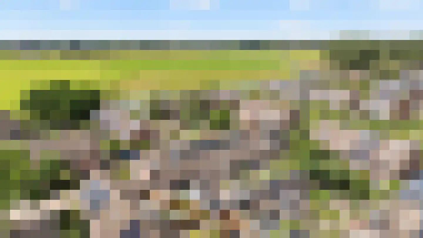 Malvaweg 4 Zwolle thumbnail 31