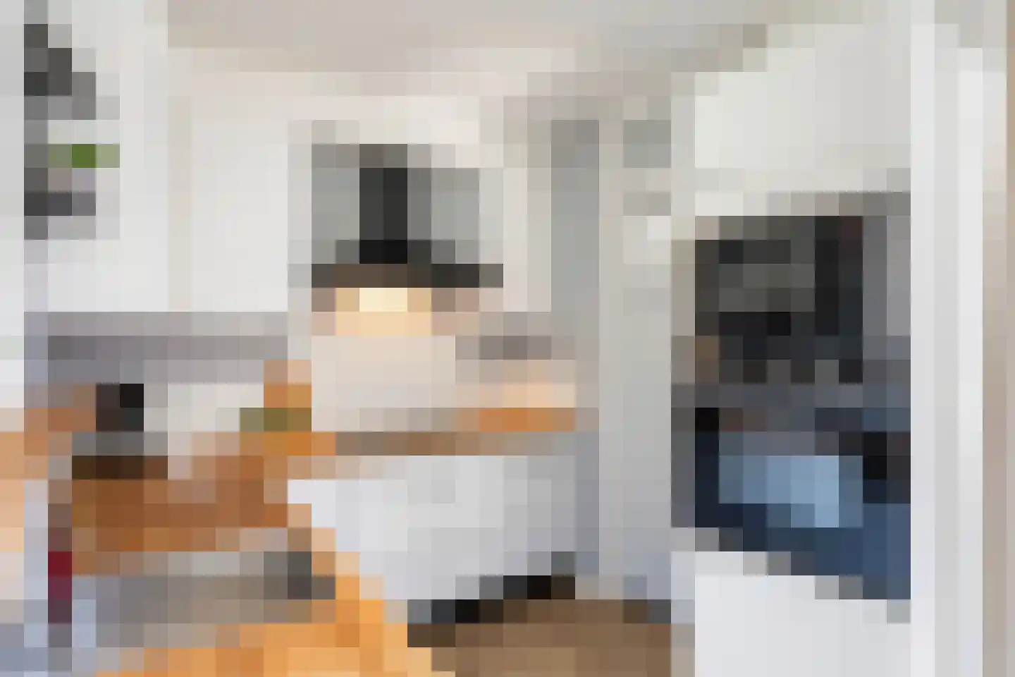 Malvaweg 4 Zwolle thumbnail 9