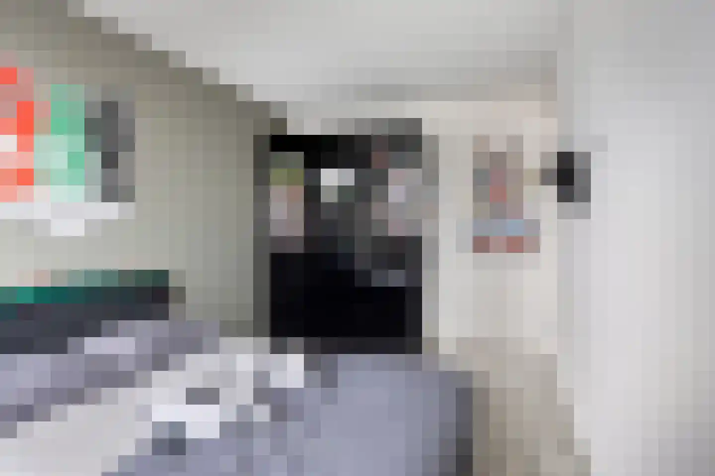 Malvert 1114 Nijmegen thumbnail 18