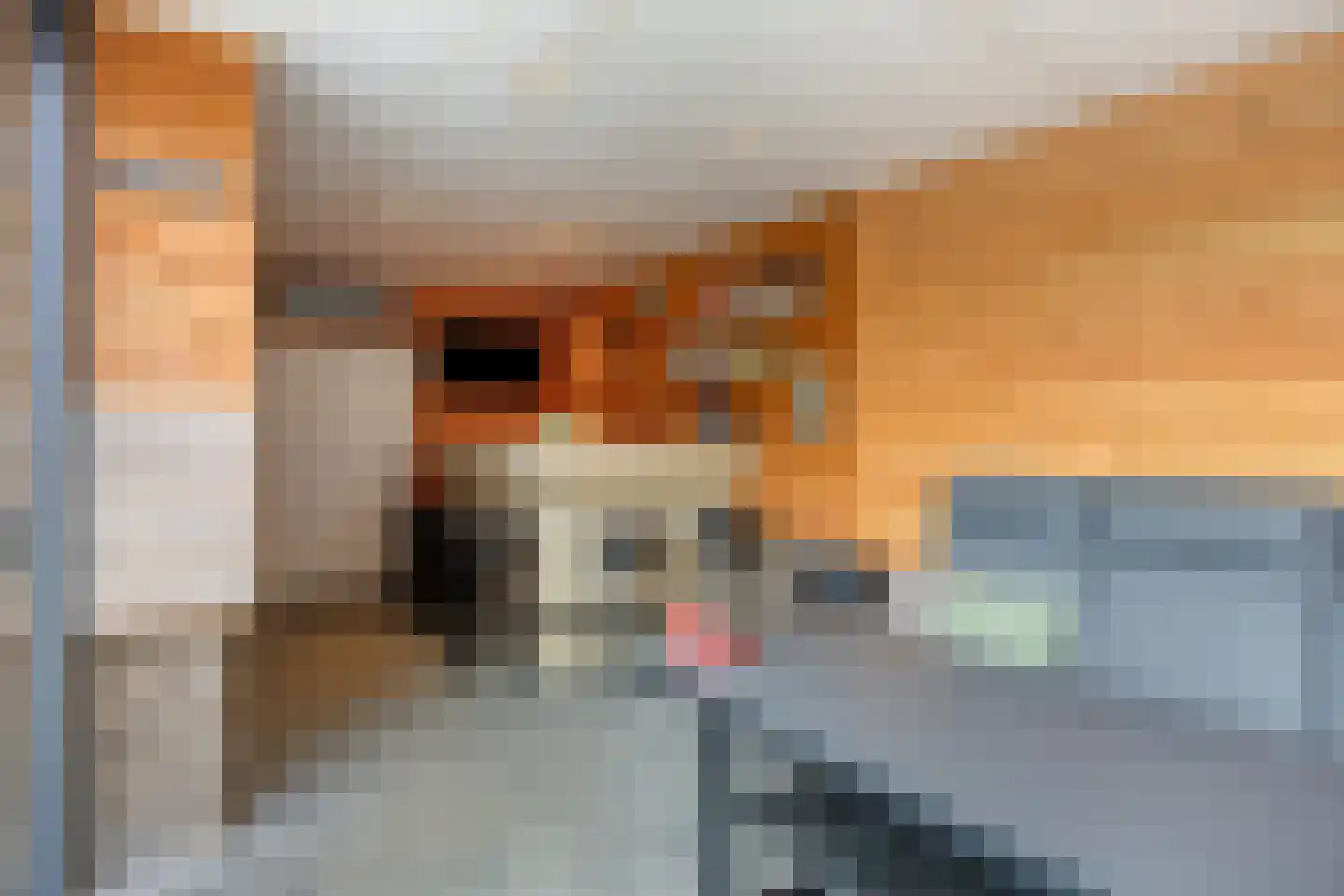 Malvert 1114 Nijmegen thumbnail 29