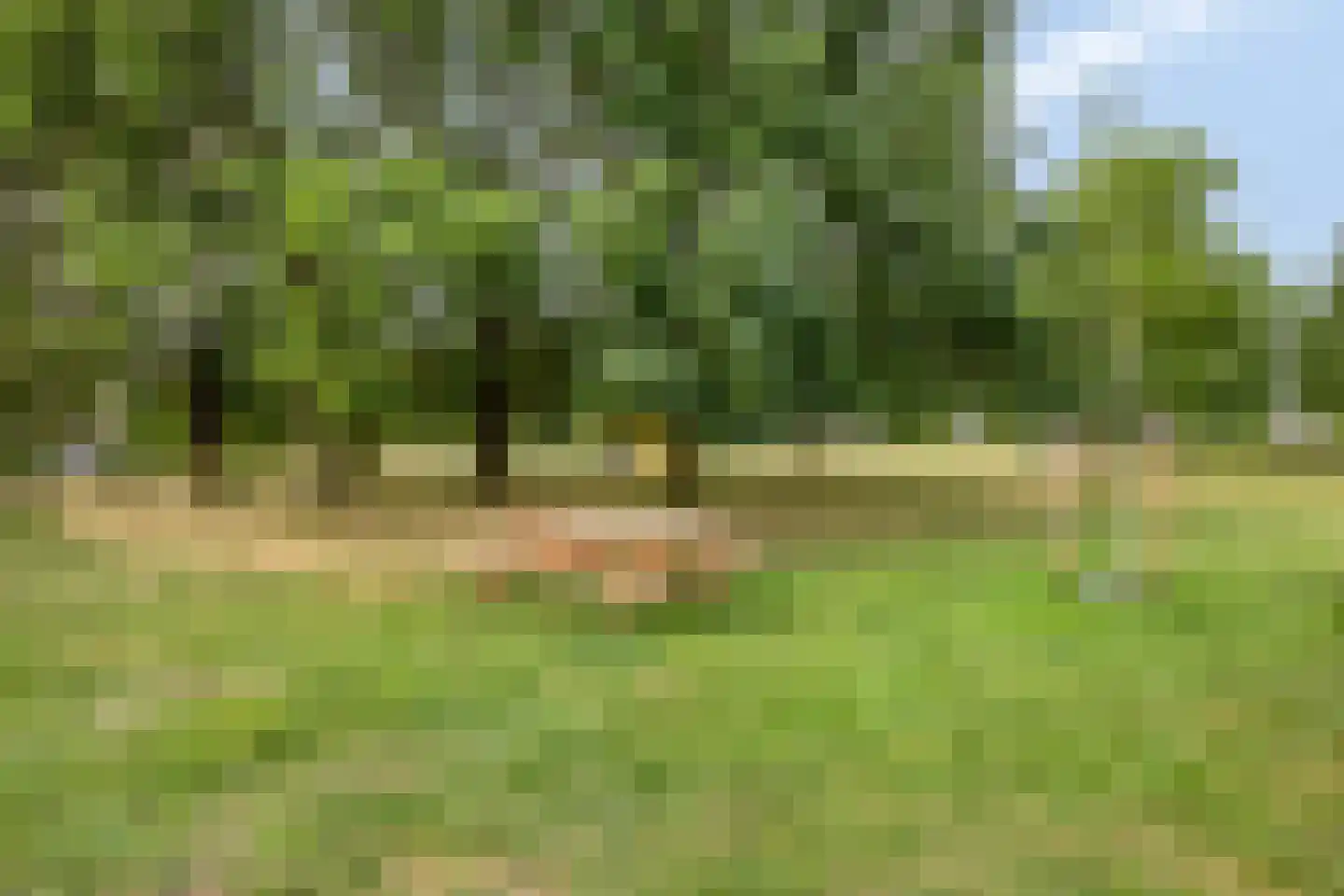 Malvert 1114 Nijmegen thumbnail 35