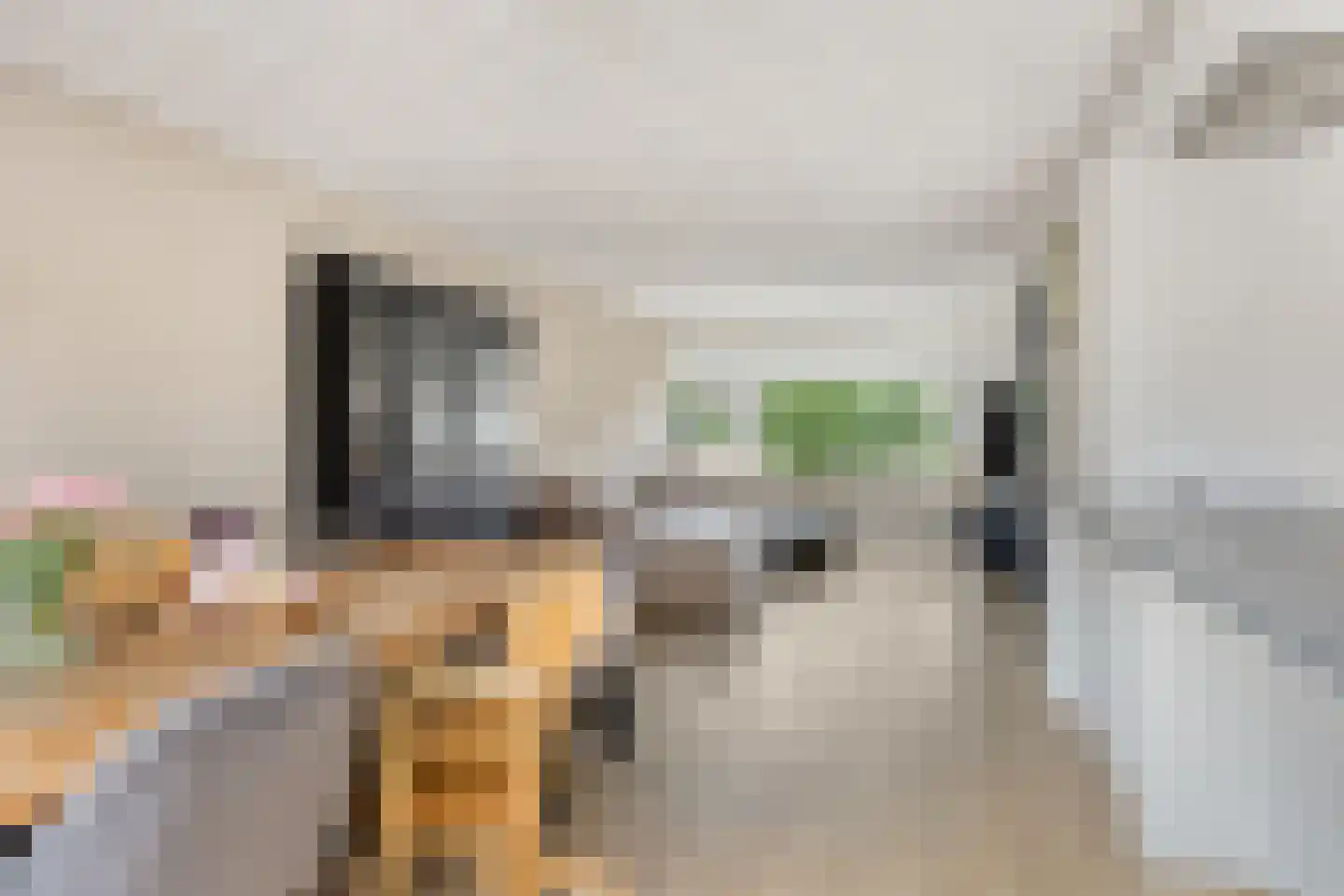 Malvert 1114 Nijmegen thumbnail 9