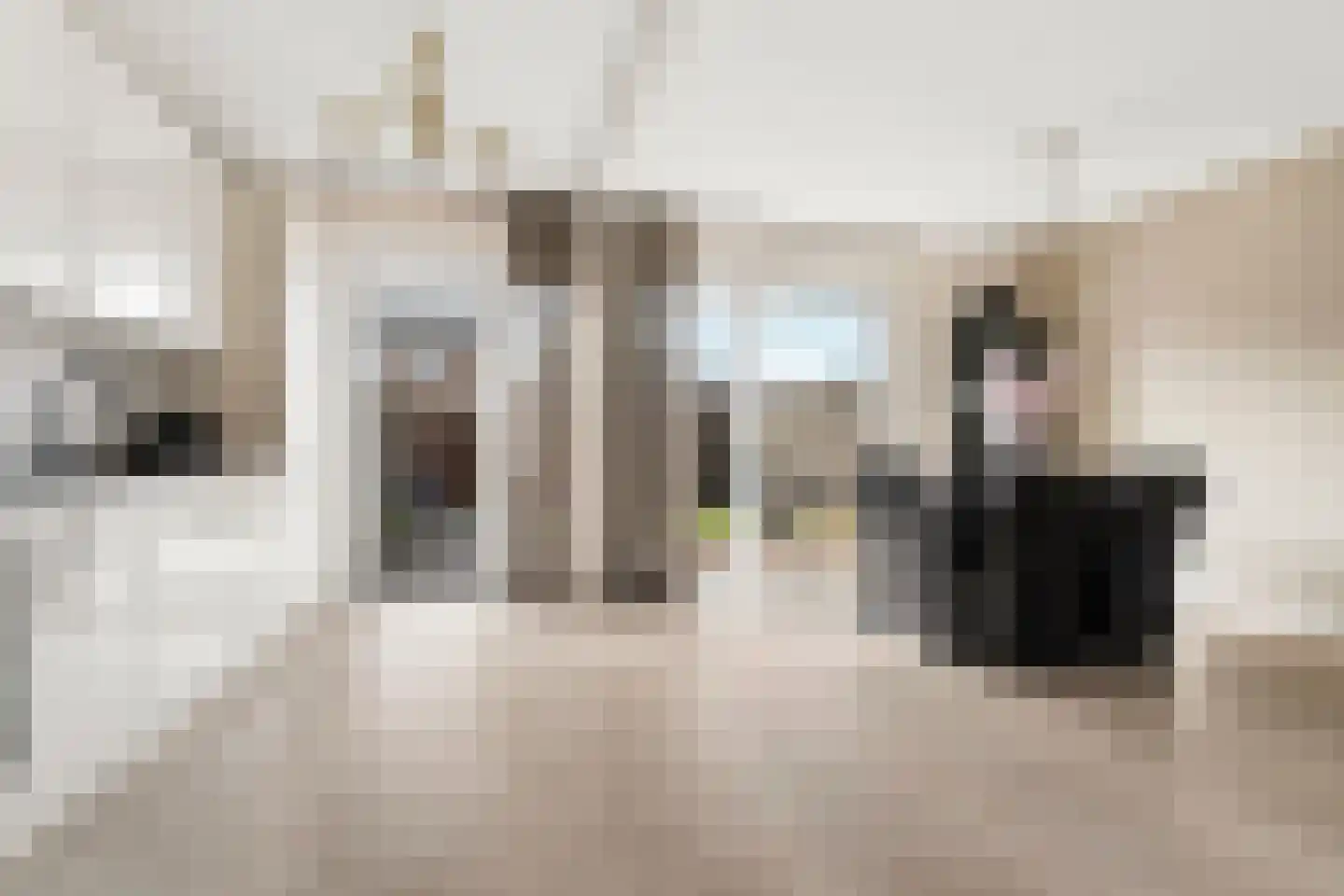 Malvert 1129 Nijmegen thumbnail 5