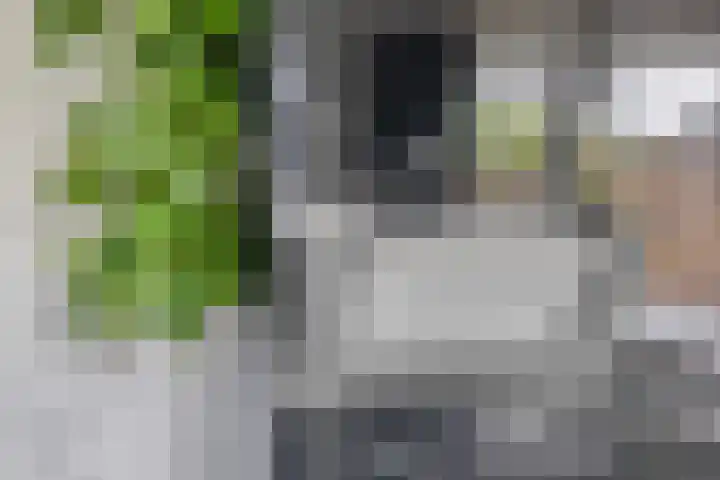 Malvert 1137 Nijmegen thumbnail 13