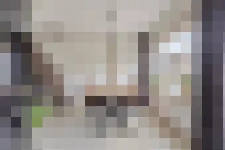 Malvert 1137 Nijmegen thumbnail 14