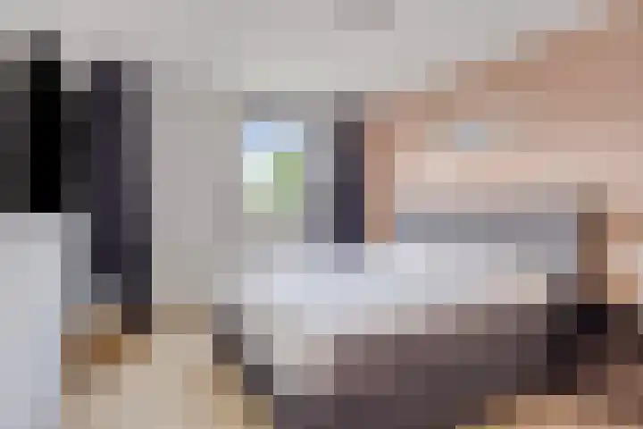 Malvert 1137 Nijmegen thumbnail 16