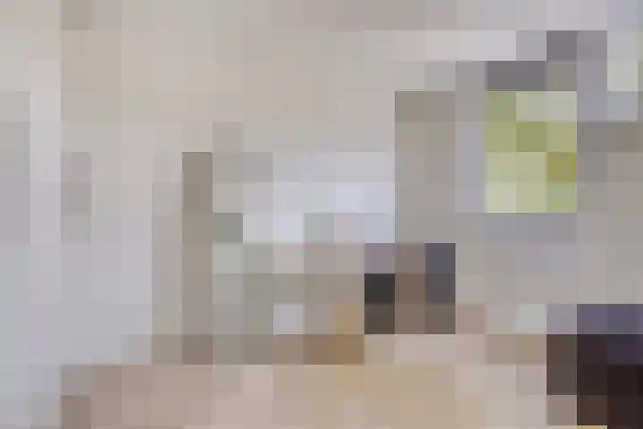Malvert 1137 Nijmegen thumbnail 19