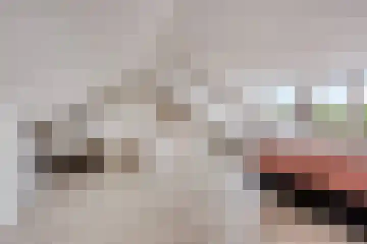 Malvert 1137 Nijmegen thumbnail 23