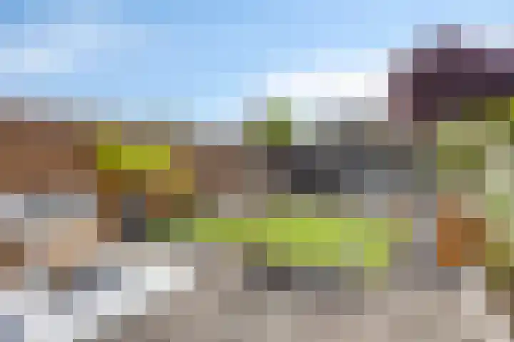 Malvert 1137 Nijmegen thumbnail 24