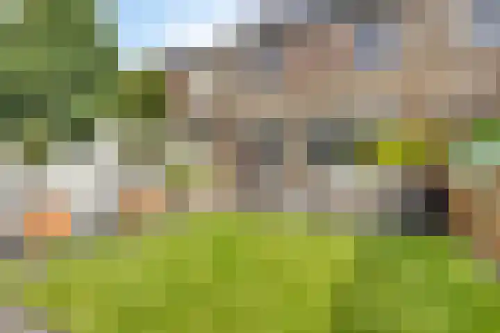 Malvert 1137 Nijmegen thumbnail 25