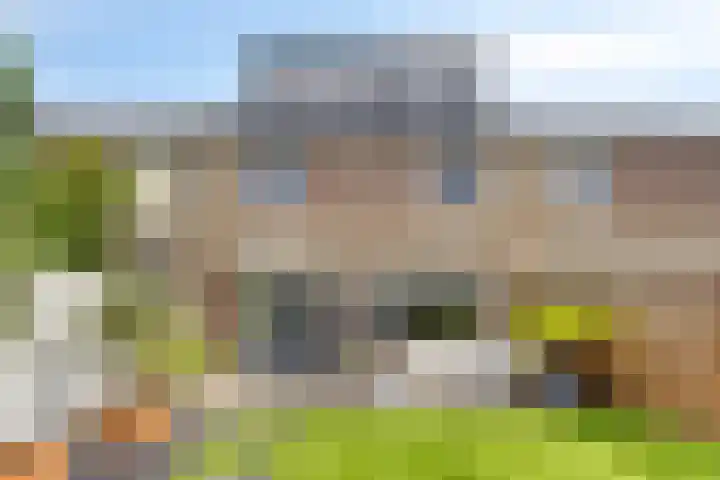 Malvert 1137 Nijmegen thumbnail 26