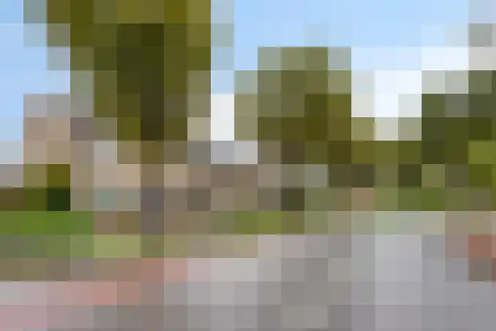 Malvert 1137 Nijmegen thumbnail 28