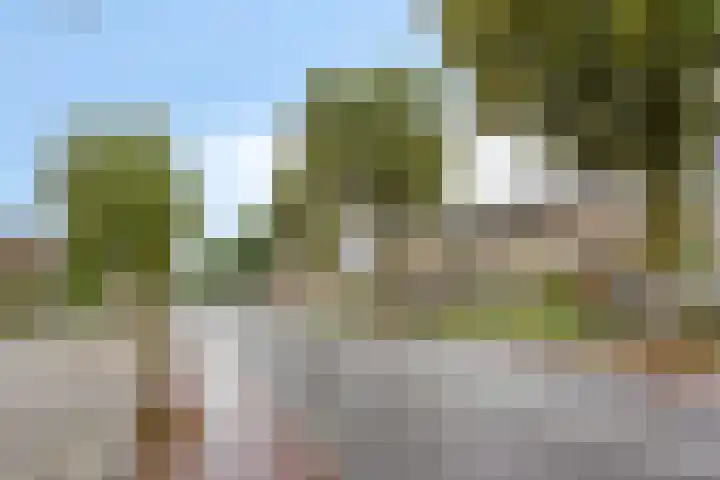 Malvert 1137 Nijmegen thumbnail 29