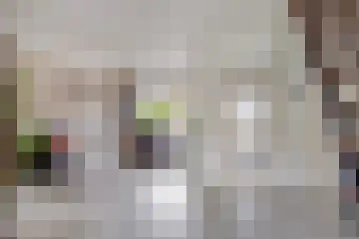 Malvert 1137 Nijmegen thumbnail 7
